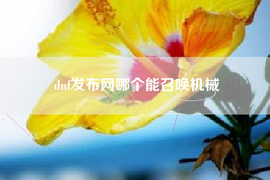 dnf发布网哪个能召唤机械