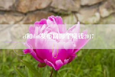 cf和dnf发布网哪个烧钱2017