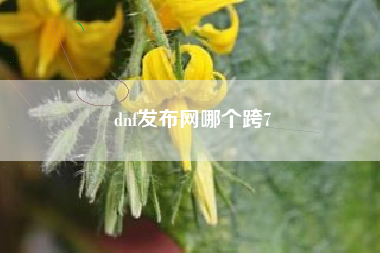 dnf发布网哪个跨7