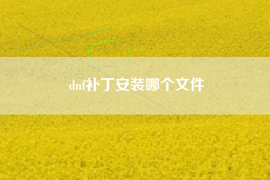 dnf补丁安装哪个文件