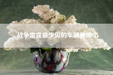 战争雷霆最少见的车辆是哪个