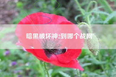 暗黑破坏神2到哪个战网