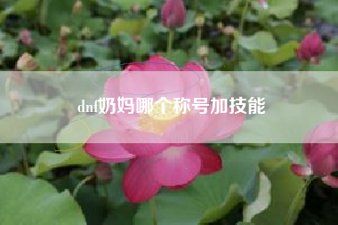 dnf奶妈哪个称号加技能