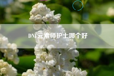 DNF元素师护士哪个好