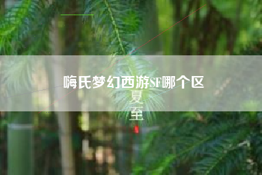 嗨氏梦幻西游SF哪个区