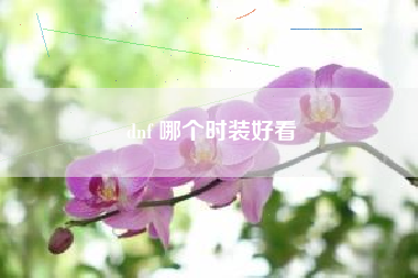 dnf 哪个时装好看