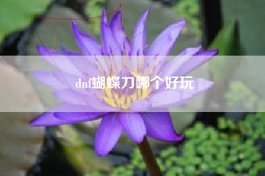 dnf蝴蝶刀哪个好玩