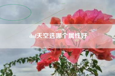 dnf天空选哪个属性好