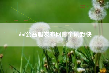 dnf公益服发布网哪个刷野快