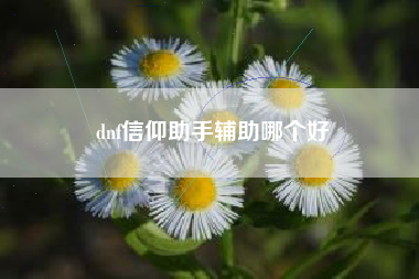 dnf信仰助手辅助哪个好