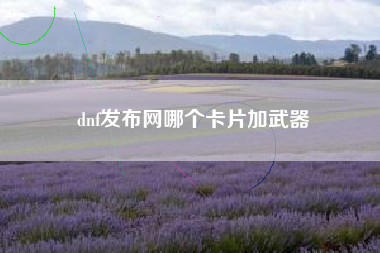 dnf发布网哪个卡片加武器