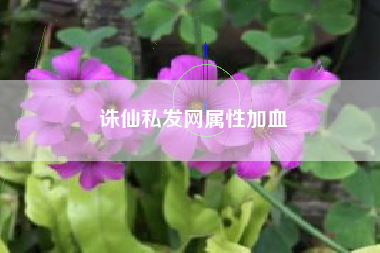 诛仙私发网属性加血