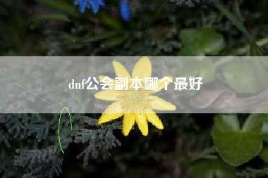 dnf公会副本哪个最好