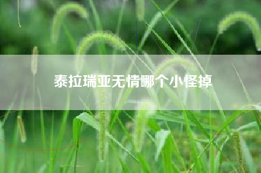 泰拉瑞亚无情哪个小怪掉