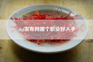 dnf发布网哪个职业好入手