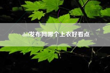 dnf发布网哪个上衣好看点