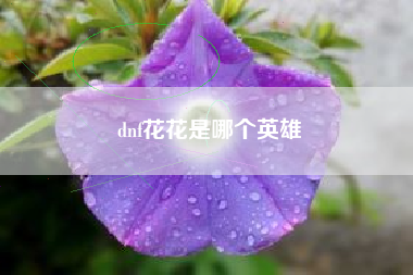 dnf花花是哪个英雄