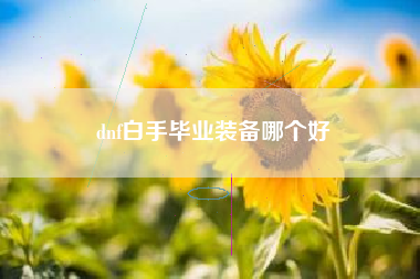 dnf白手毕业装备哪个好