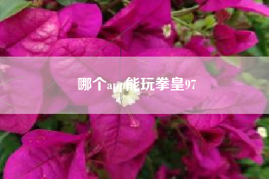 哪个app能玩拳皇97