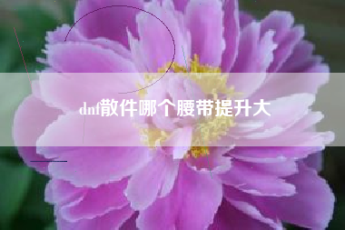 dnf散件哪个腰带提升大