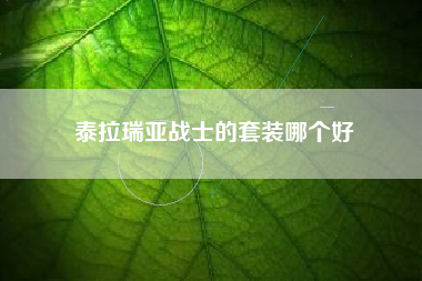 泰拉瑞亚战士的套装哪个好