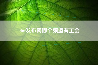 dnf发布网哪个频道有工会