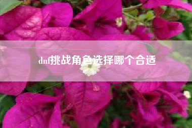 dnf挑战角色选择哪个合适