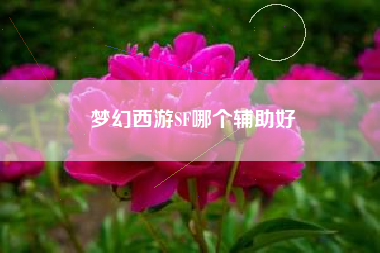 梦幻西游SF哪个辅助好