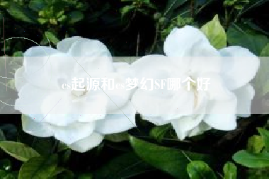 cs起源和cs梦幻SF哪个好