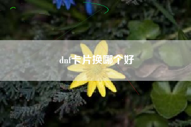 dnf卡片换哪个好