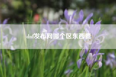 dnf发布网哪个区东西贵