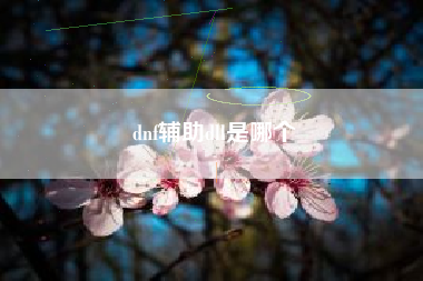 dnf辅助dll是哪个