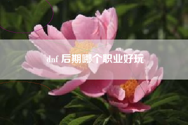 dnf 后期哪个职业好玩