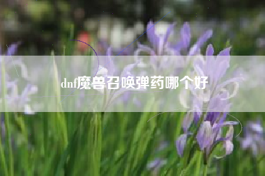 dnf魔兽召唤弹药哪个好