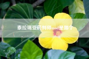 泰拉瑞亚药剂师mod是哪个