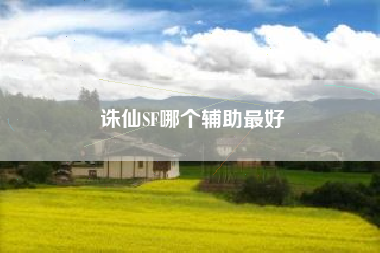 诛仙SF哪个辅助最好