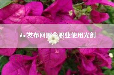 dnf发布网哪个职业使用光剑