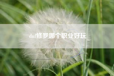 dnf修罗哪个职业好玩