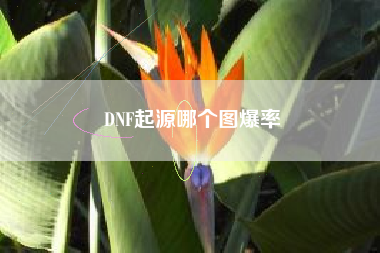 DNF起源哪个图爆率