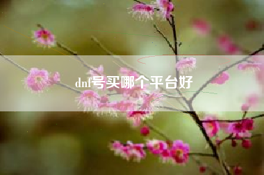 dnf号买哪个平台好