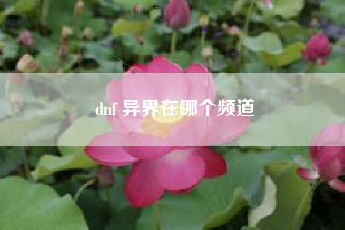 dnf 异界在哪个频道