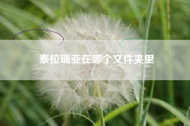 泰拉瑞亚在哪个文件夹里