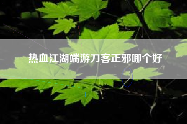 热血江湖端游刀客正邪哪个好