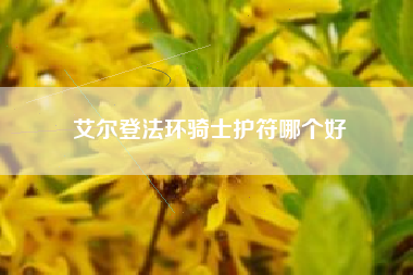 艾尔登法环骑士护符哪个好