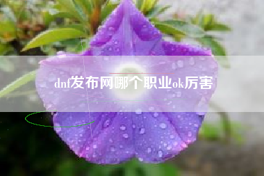 dnf发布网哪个职业ok厉害