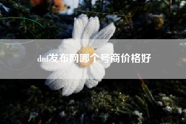 dnf发布网哪个号商价格好