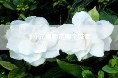 DNF元素师走哪个流派