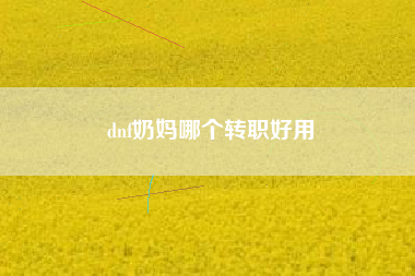 dnf奶妈哪个转职好用