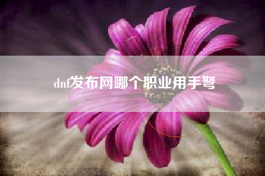 dnf发布网哪个职业用手弩