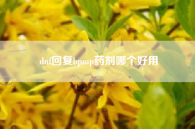 dnf回复hpmp药剂哪个好用